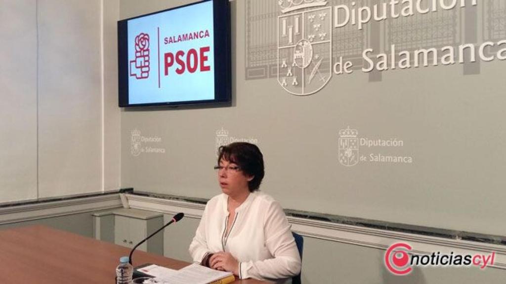 camen-garcia-diputacion-pso