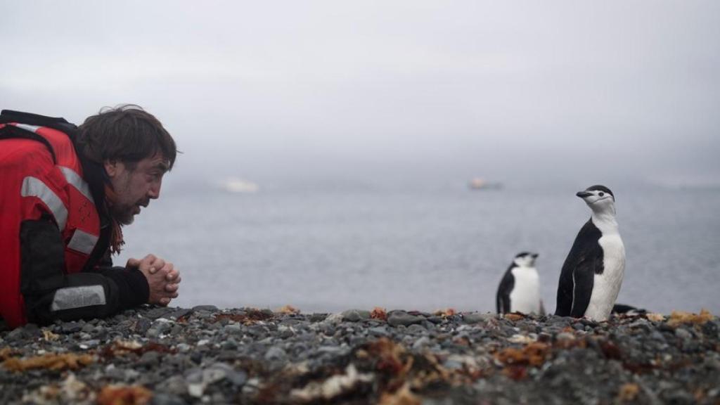 Javier Bardem con un pingüino.