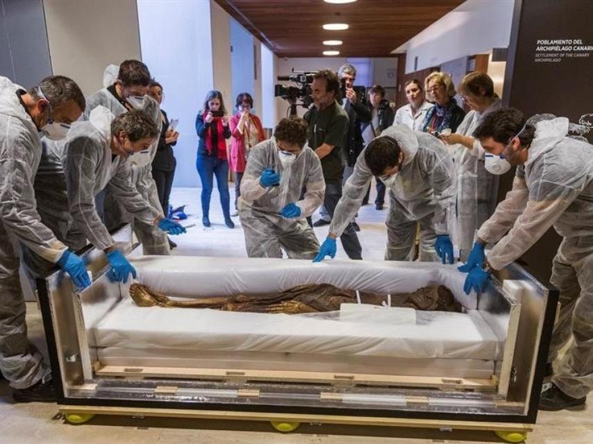 La momia Guanche llega al Museo Arqueológico.
