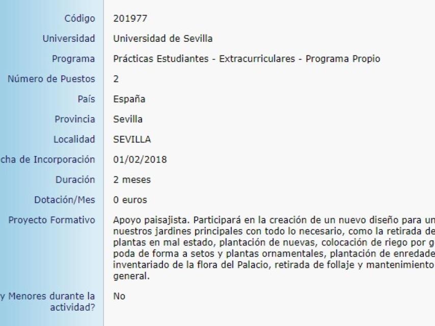 Oferta de prácticas en la página Icaro.