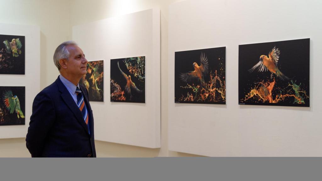 exposicion tony generico