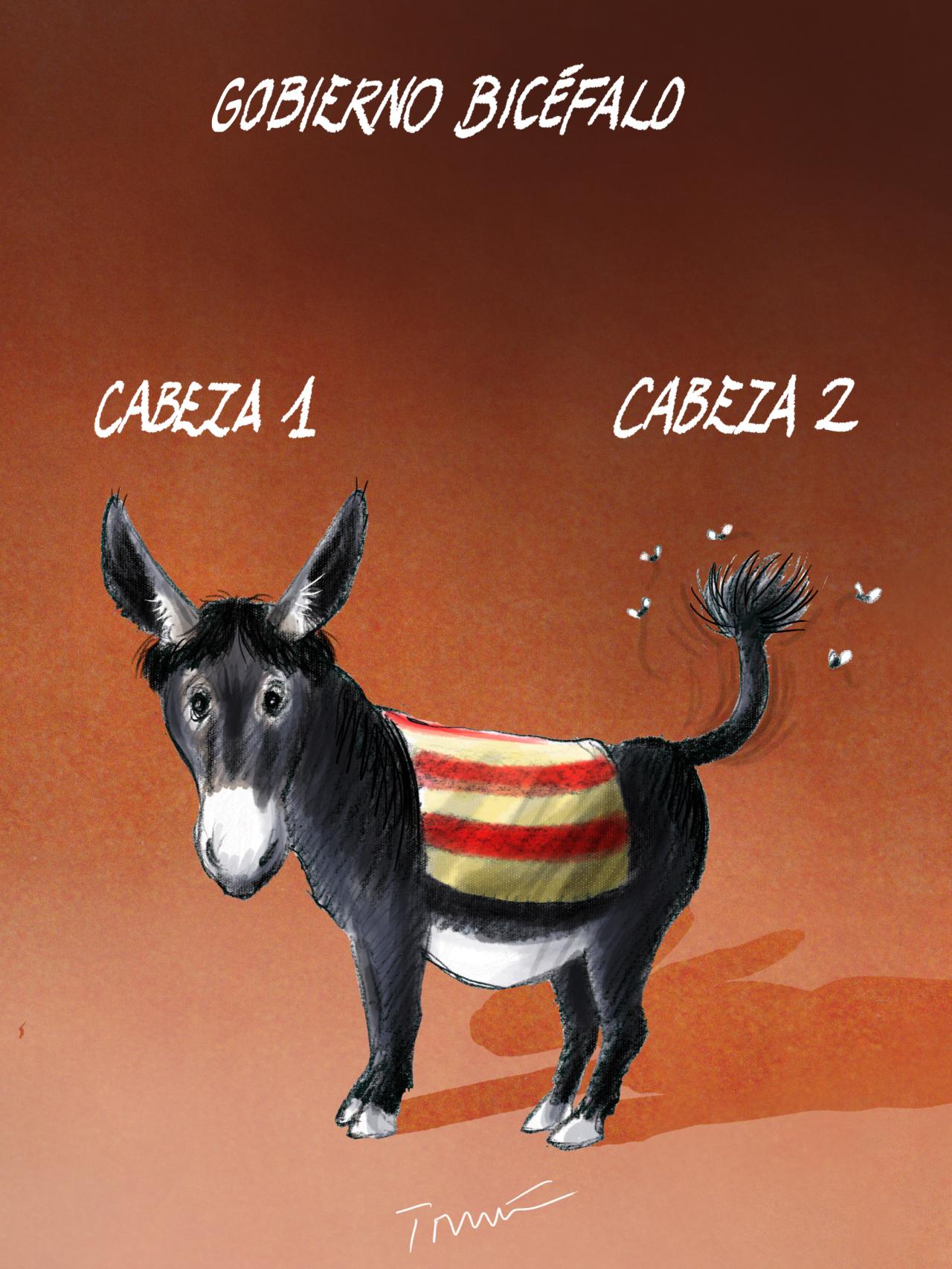 El gobierno bicéfalo