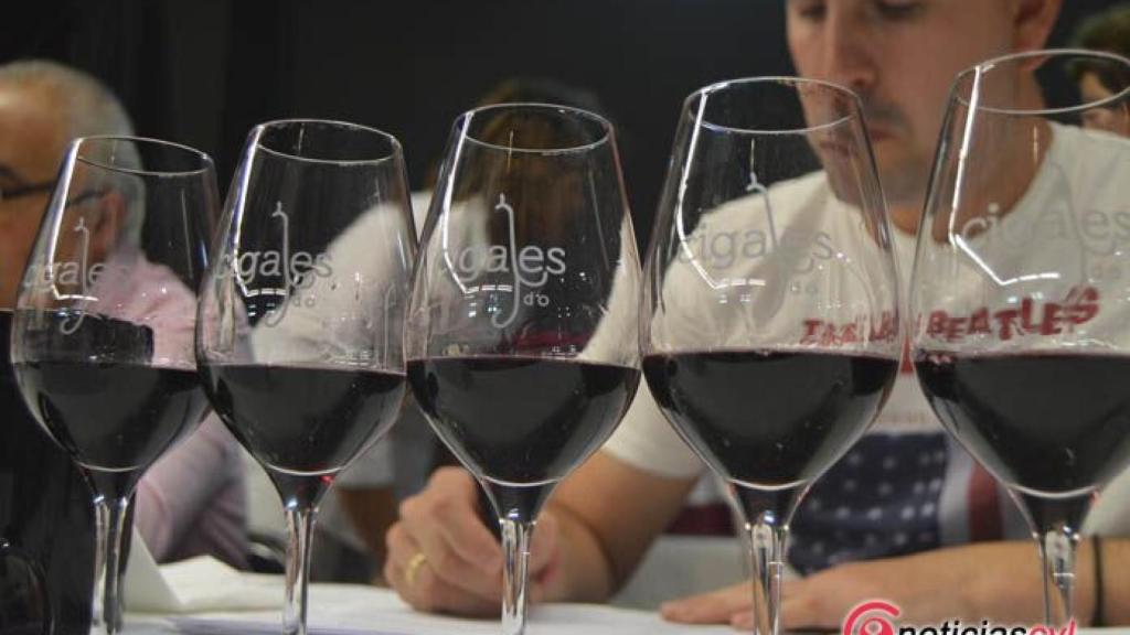 Valladolid-tintos-vinos-do-cigales