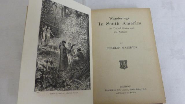 Una de las obras de Charles Waterton.