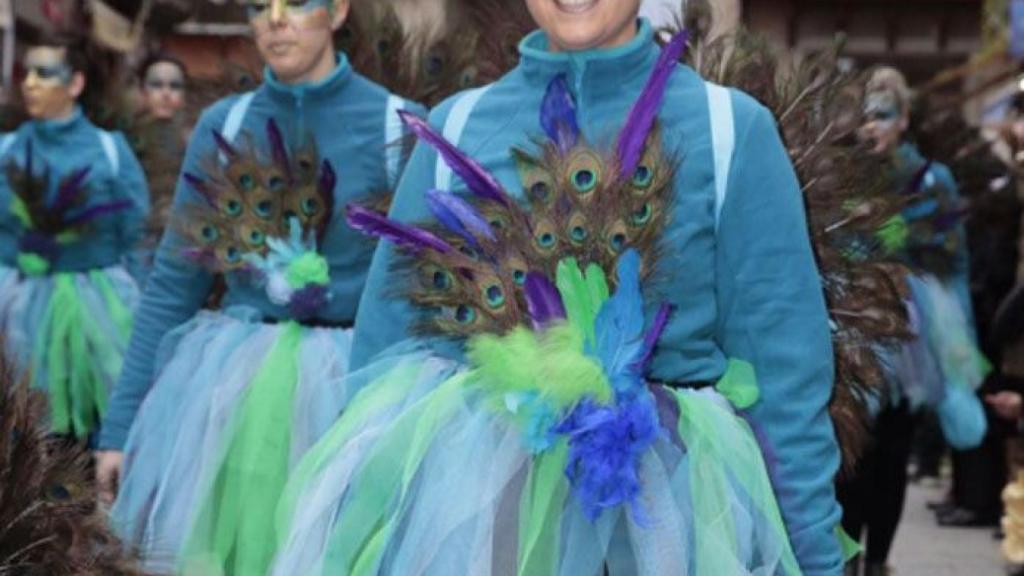 toro carnaval