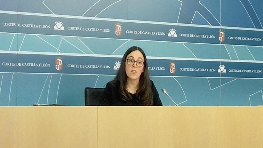 podemos cortes europa press