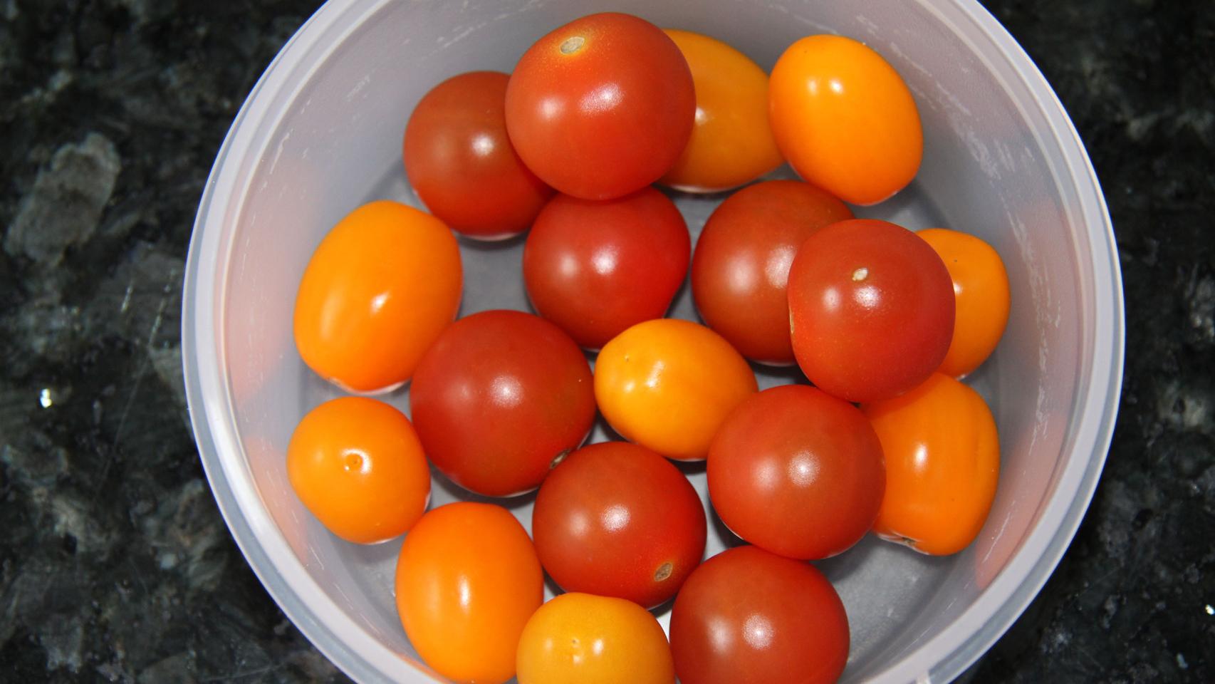 FOCACCIA DE PATATA, O DI PUGLIA CON TMX 09