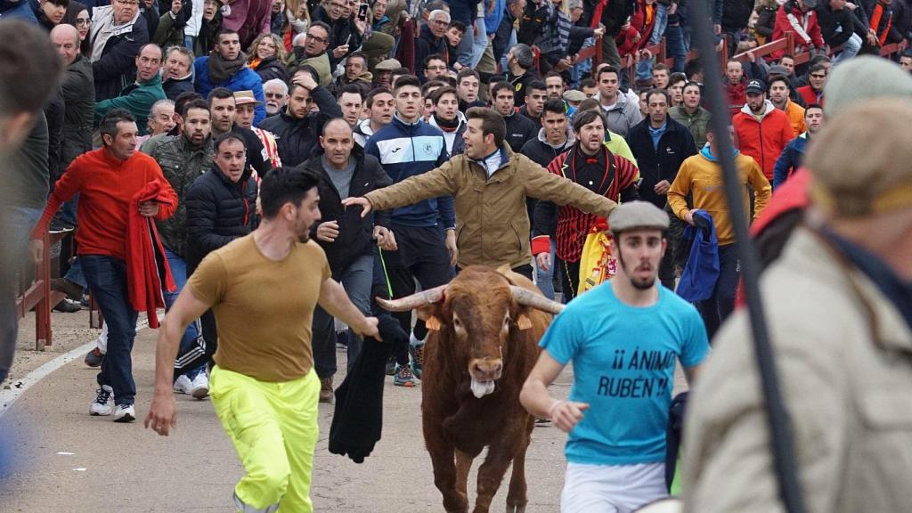 encierro caballo ciudad rodrigo 21