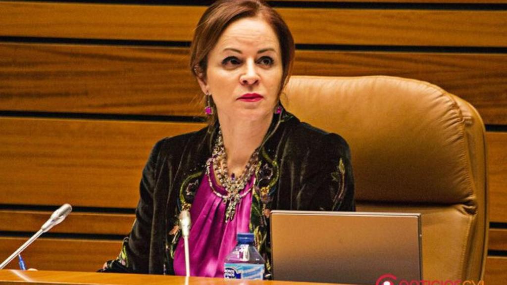 regional-pleno-silvia-clemente