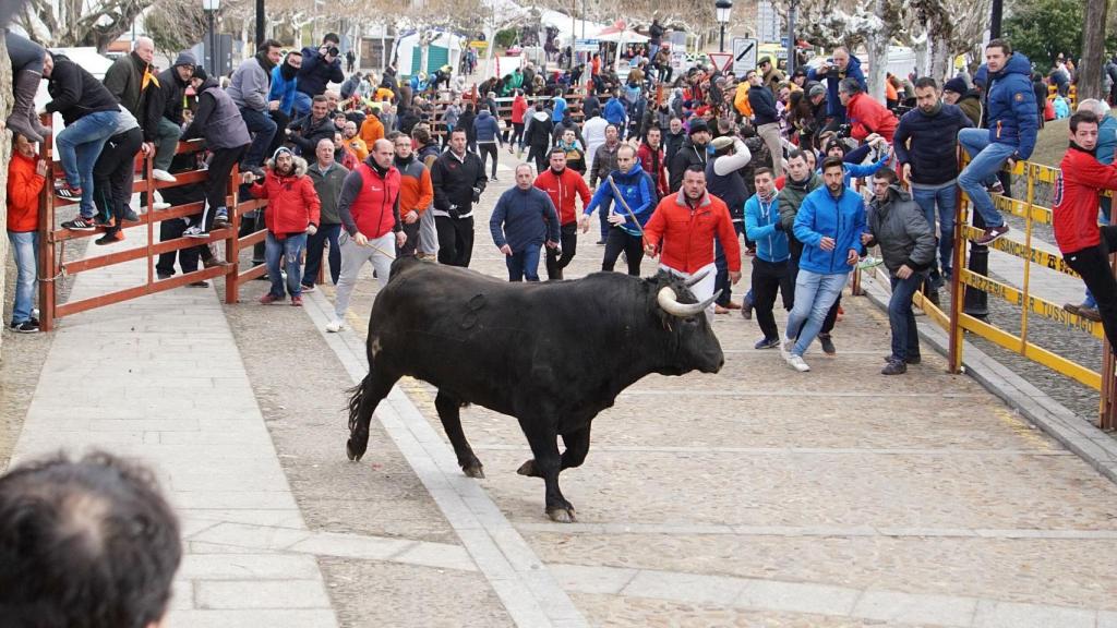 encierro ciudad rodrigo martes 5
