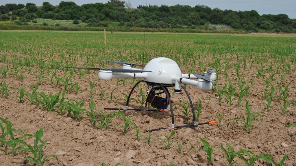dron campo maiz