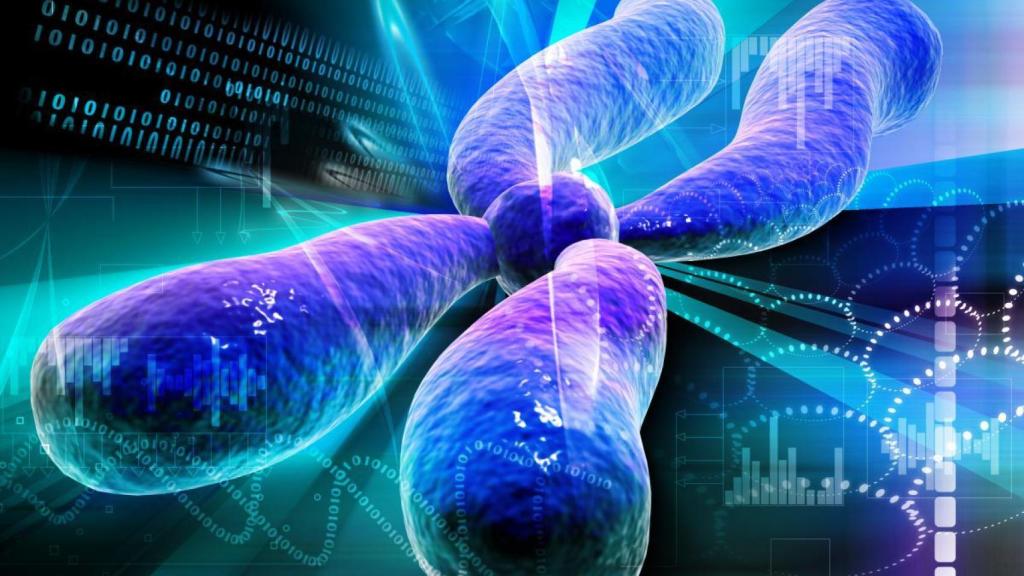 Recreación de la secuenciacion de un tumor.