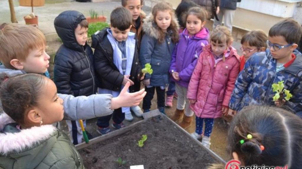 huerto escolar valladolid francisco quevedo 4