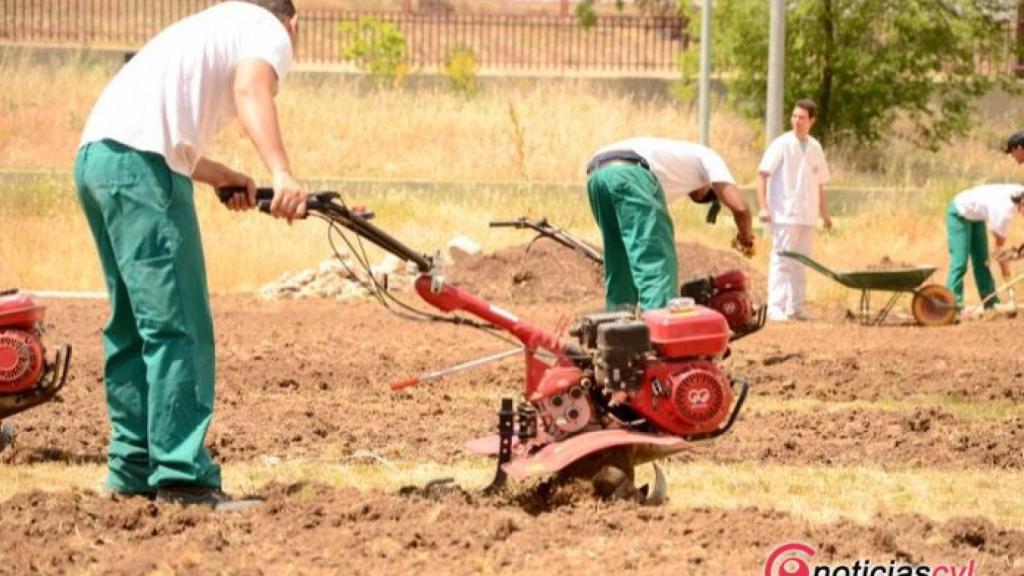reincorpora insercion laboral obra social la caixa 1