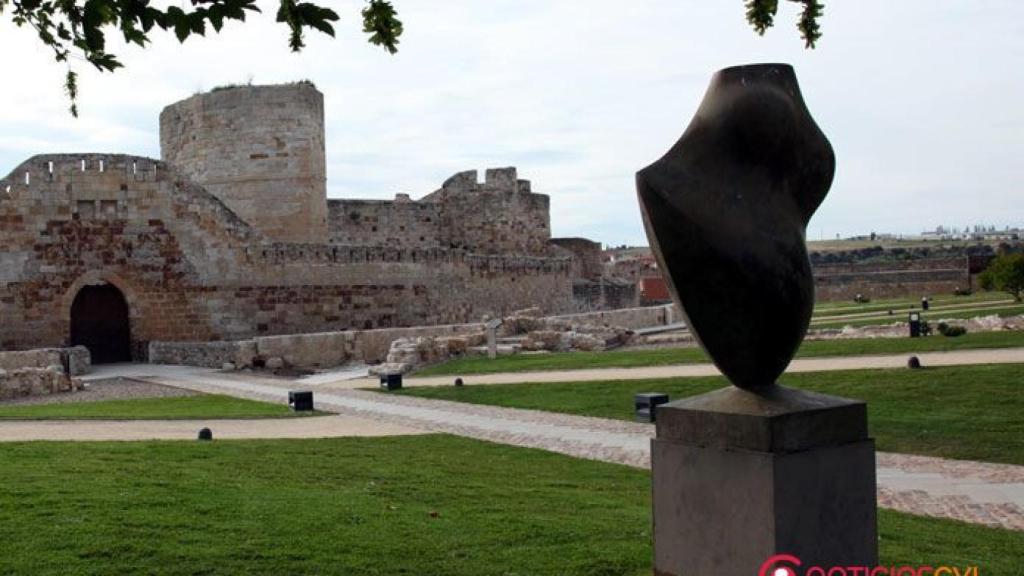 zamora castillo baltasar lobo
