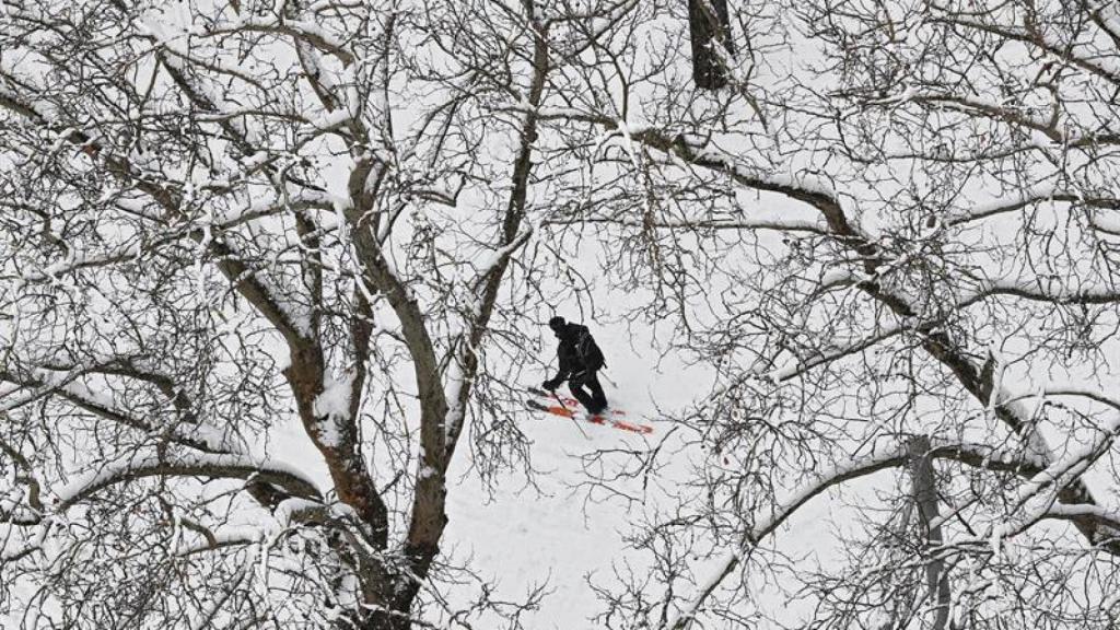Una persona esquía por el parque de La Ciudadela de Pamplona.