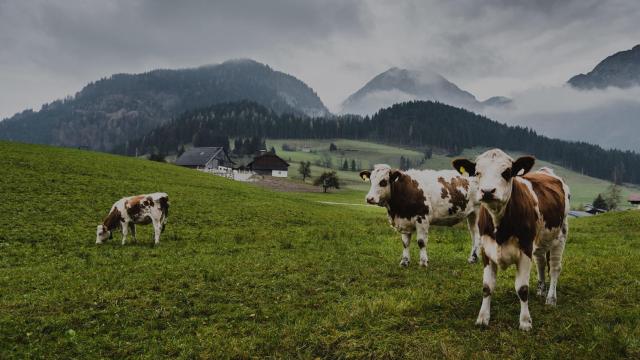‘One Planet, One Health’, la apuesta de Danone por la salud y un entorno sostenible