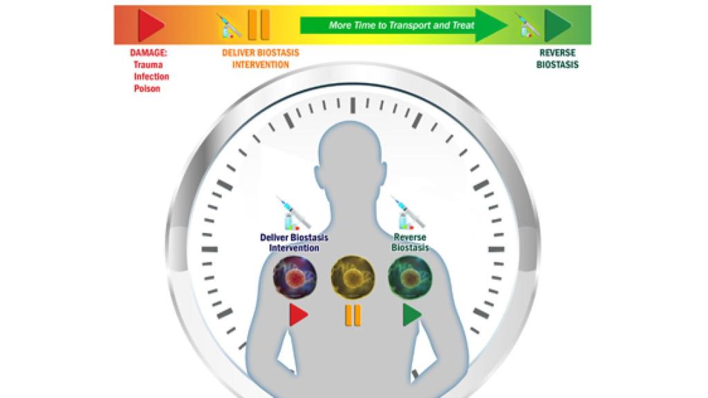 Representación del concepto que se pretende imitar.
