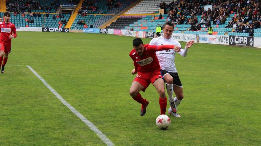 SALMANTINO-NUMANCIA-B-35