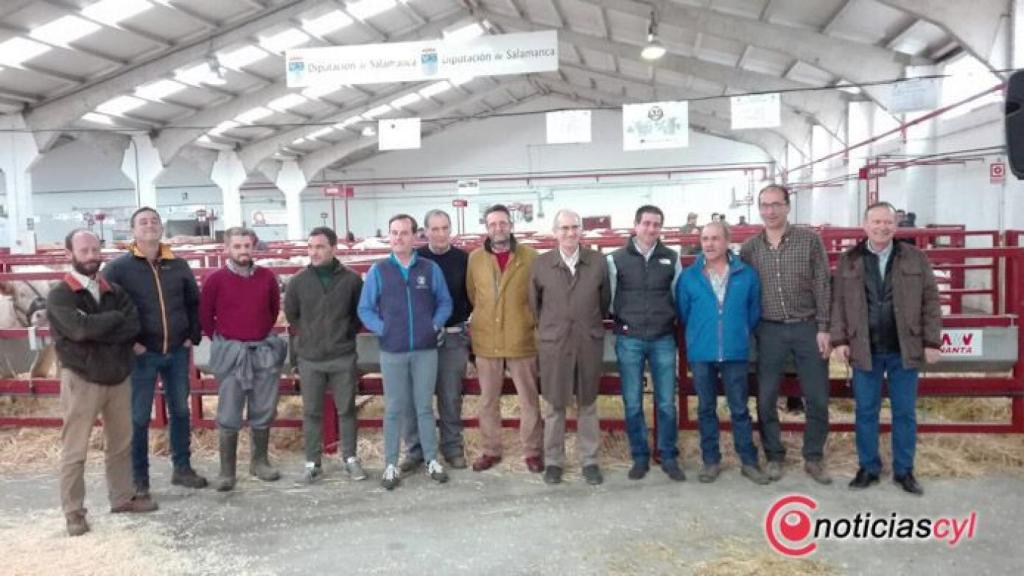 exposicion vacuno dipu salamanca (14)