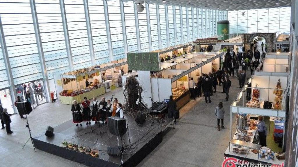 Zamora diputacion feria raices 61