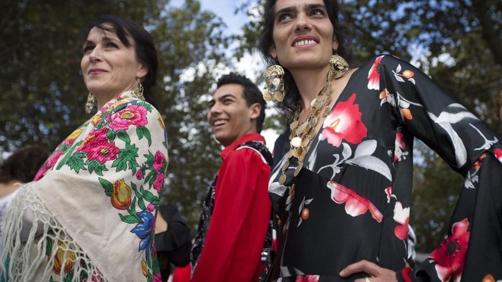 Fotografía de la muestra.