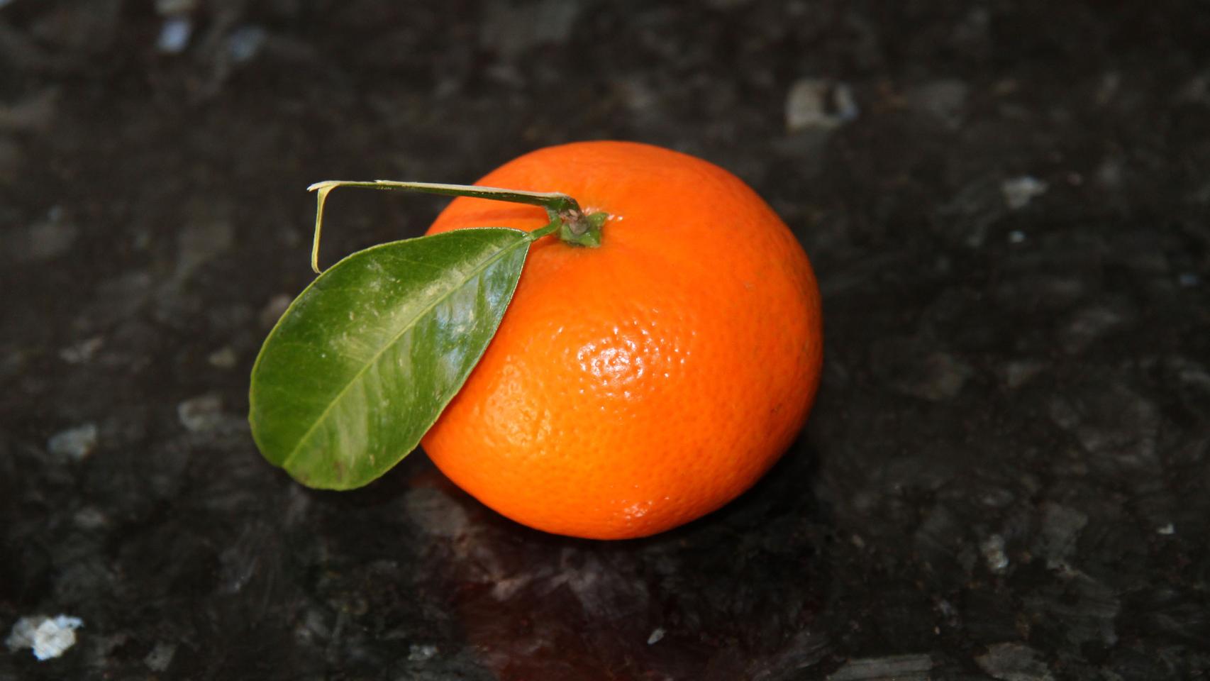 MAGDALENAS INTEGRALES DE CACAO Y MANDARINA CON Y SIN THERMOMIX 01