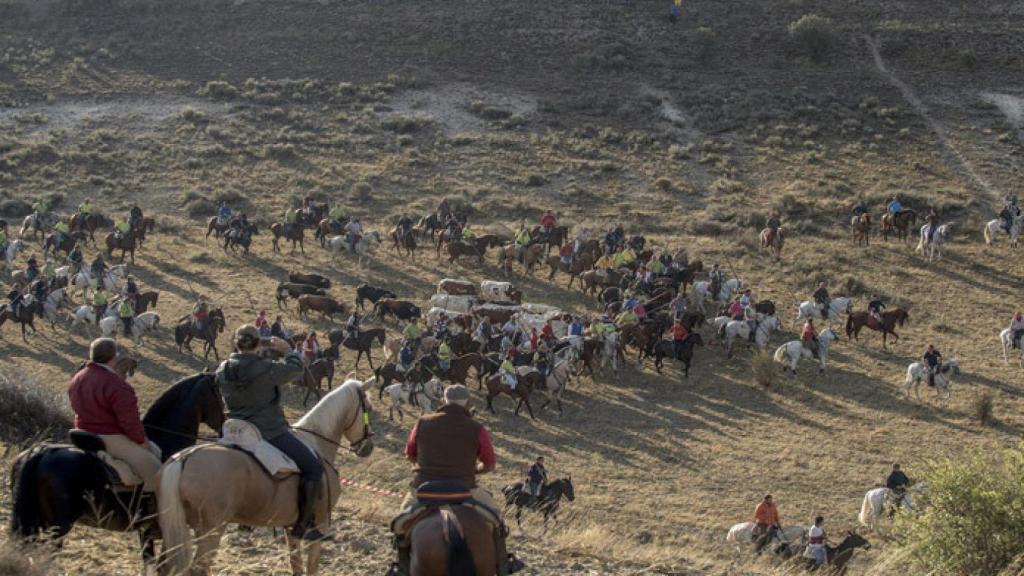 Segovia-encierros-cuellar-toros-interes