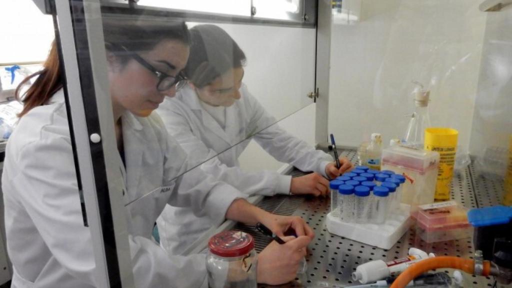 biologia molecular