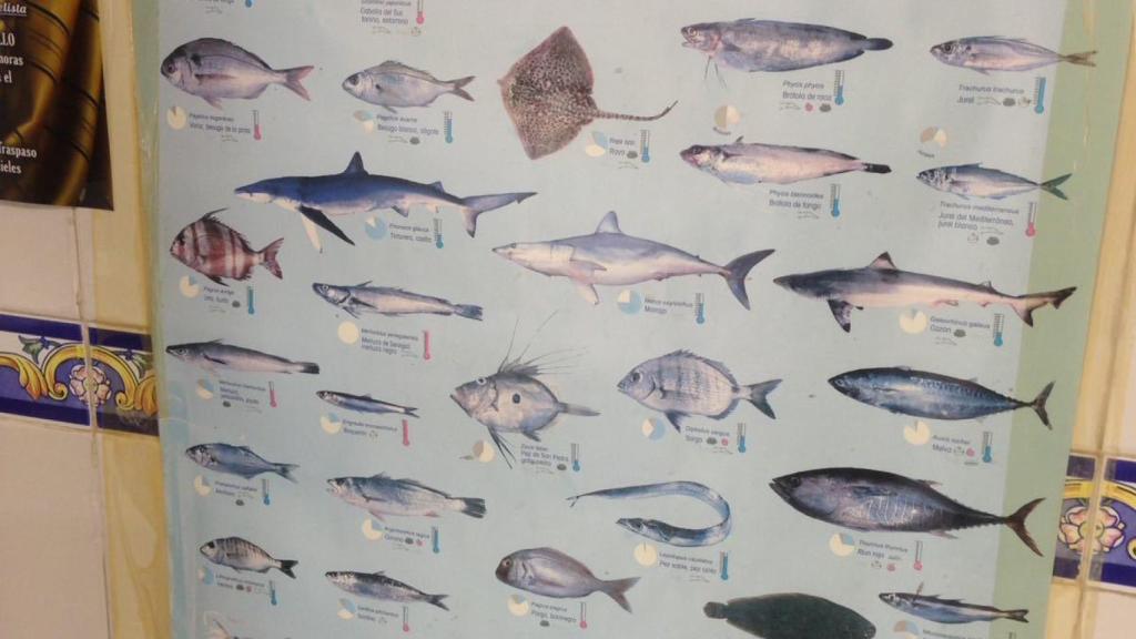 Cartel en la pescadería de Marina con el que el niño aprendía todas las especies de peces