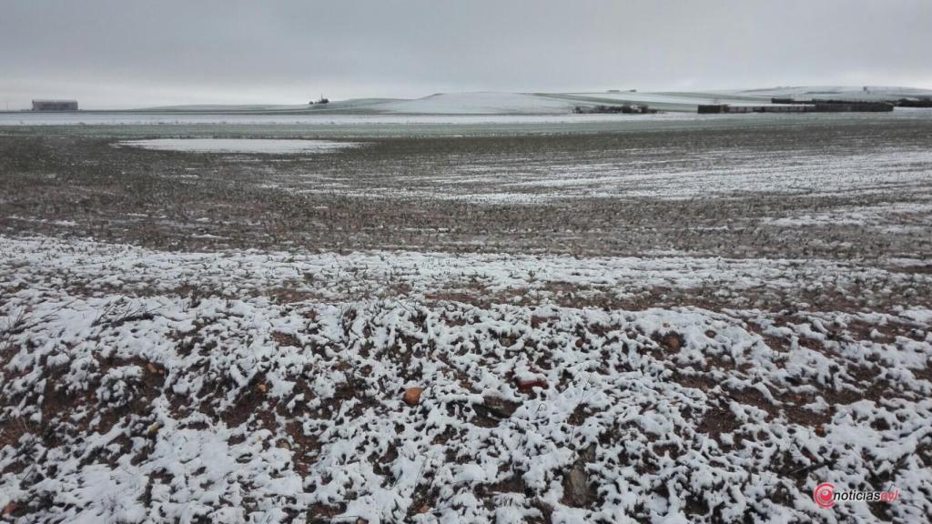 Nieve en Villares de la Reina (3)