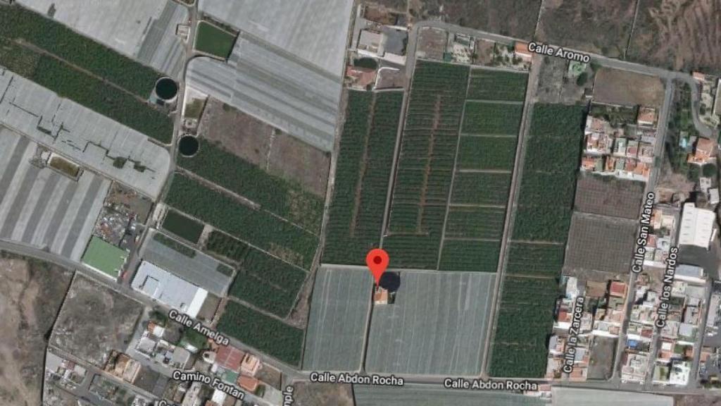 La finca del matrimonio Ortega Martín estaba rodeada de plantaciones de plátanos.