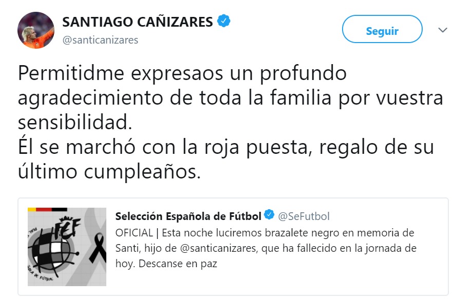 La Selección luce un brazalete negro en el Alemania-España por la muerte del hijo de Cañizares