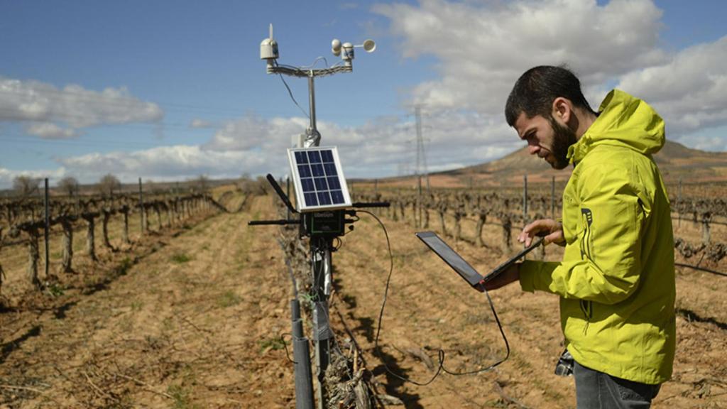 Técnicos de Libelium y remOT Technologies instalando los sensores en el viñedo.