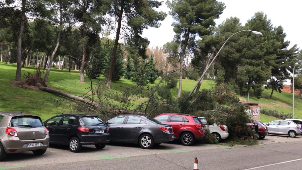 Un árbol y una farola desprendidos el barrio de la Estrella, Madrid