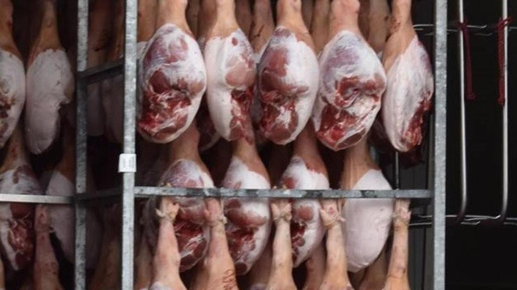 industria guijuelo jamon