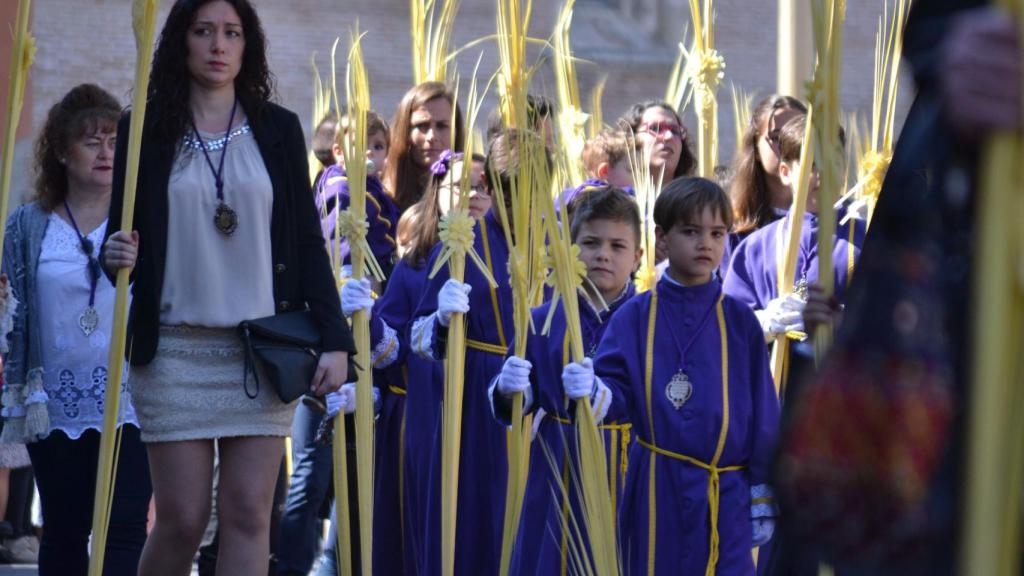 La Borriquilla Medina del Campo Domingo de Ramos 2017 (6)