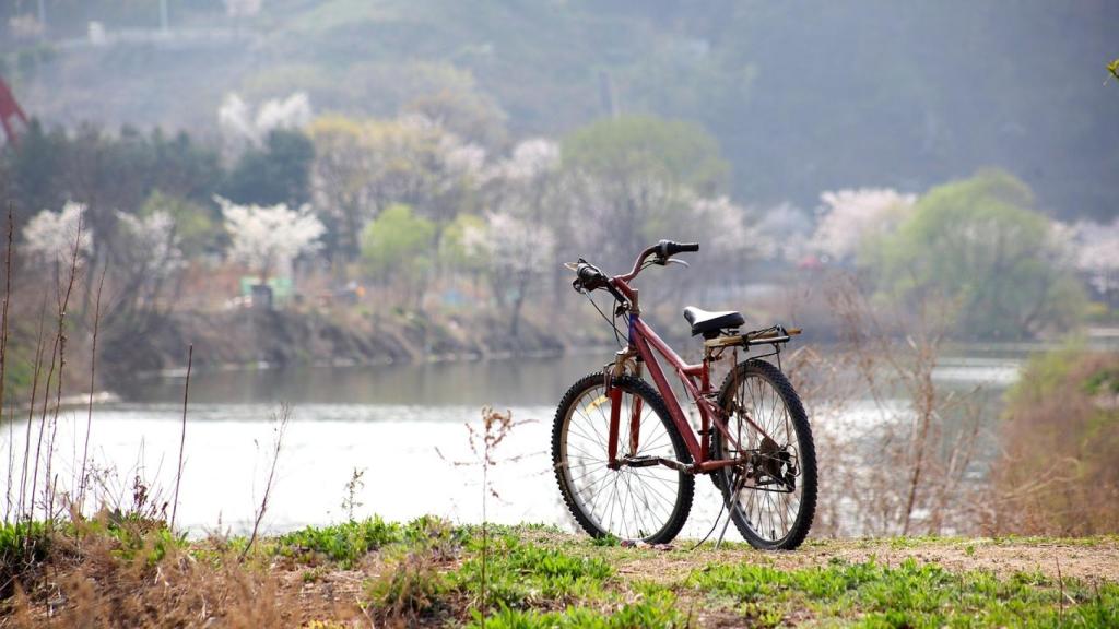 Durante la primavera experimentamos desajustes químicos.