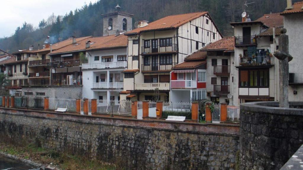 Panorámica general de la localidad guipuzcoana de Alegría de Oria.