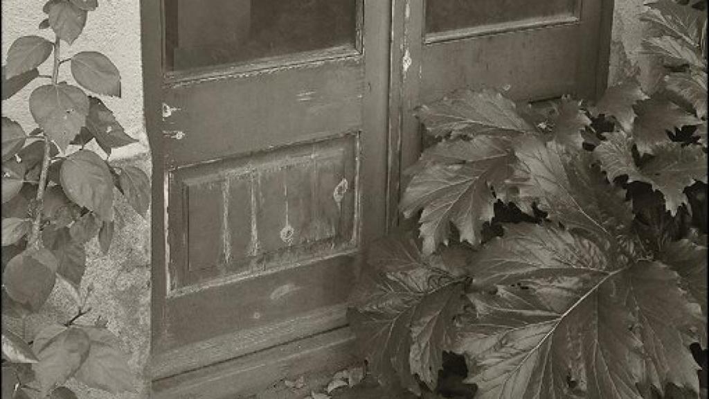 Image: Jardines en tiempos de guerra