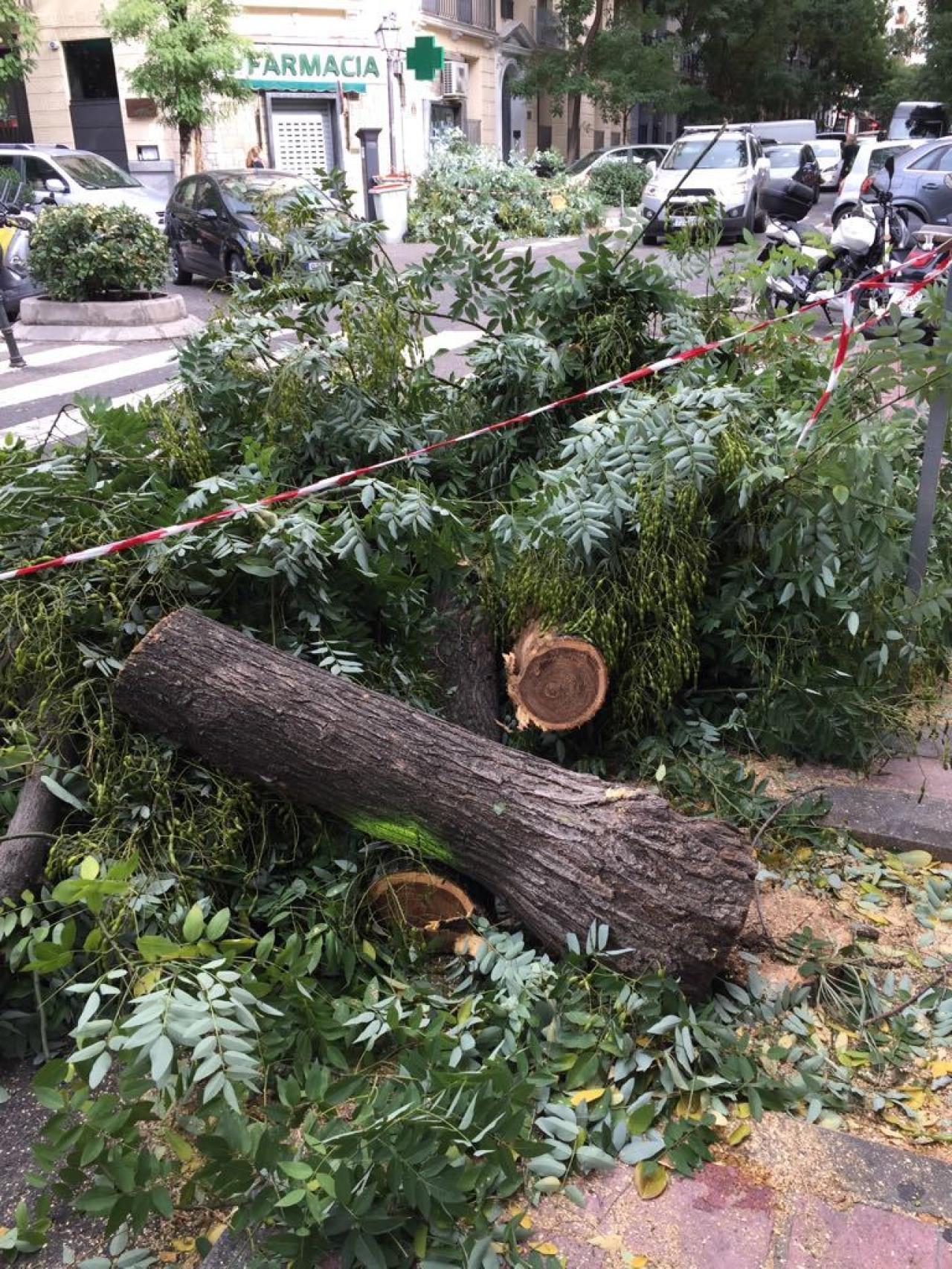 Otro de los ejemplares retirados en Madrid.