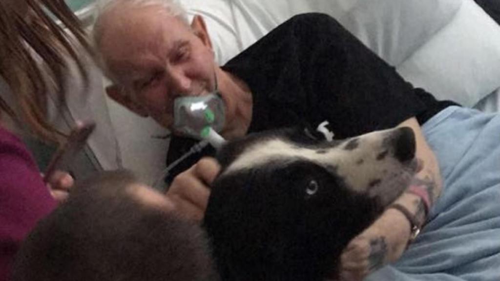 Peter Robson pudo despedirse de su perro Shep.