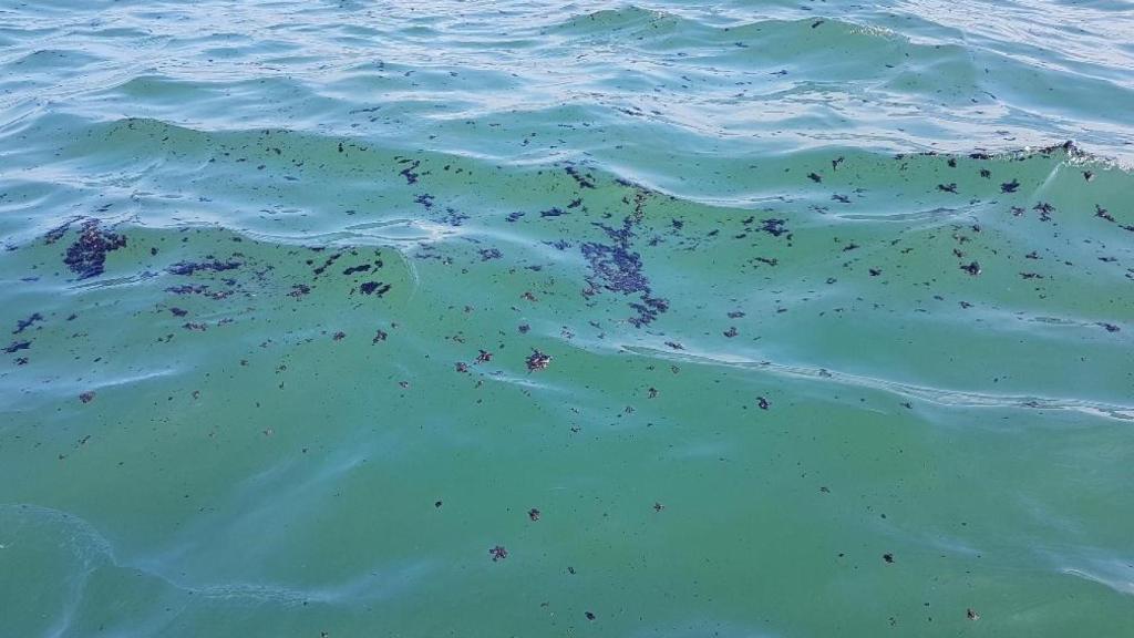 Las galletas de hidrocarburo avistadas en la ría de Huelva.