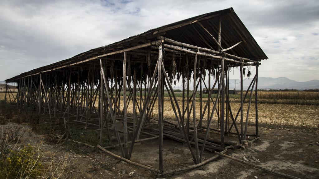 Uno de los tantos secaderos de madera repartidos por la Vega de Granada.