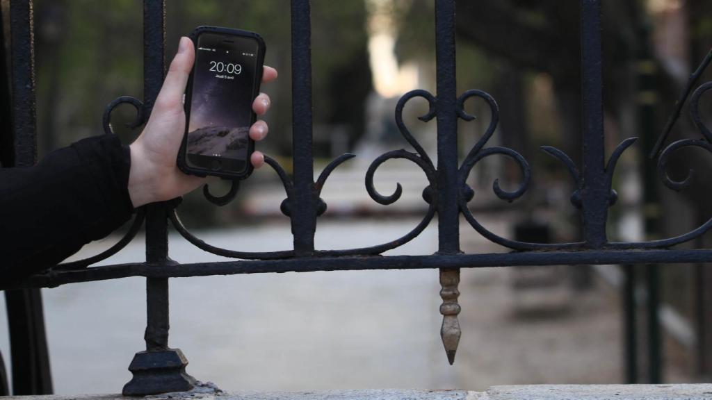 El Ayuntamiento dijo haberlo retirado por la tarde, pero el árbol seguía ahí pasadas las ocho.