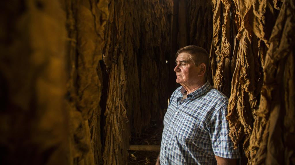 Miguel Ruiz, en su secadero de tabaco de Alhendín.