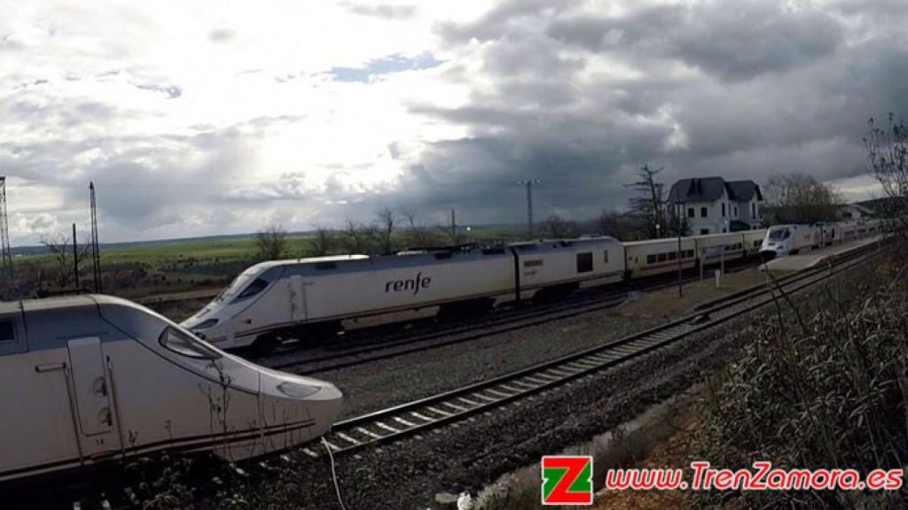 zamora alvia tren carbajales grupo tren (2)