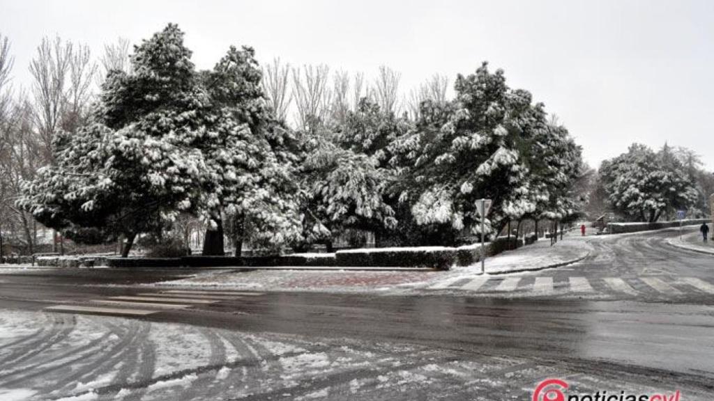 zamora nieve (21)