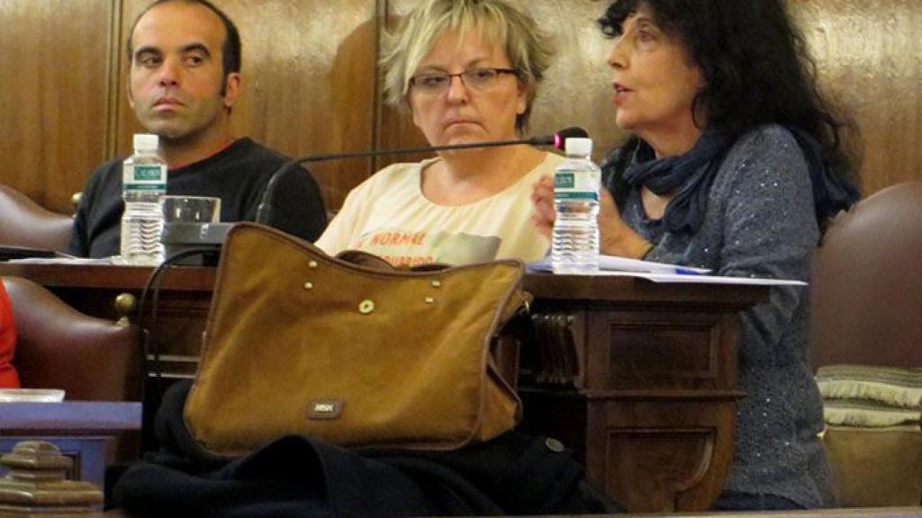 zamora pleno diputacion_IMG_1019