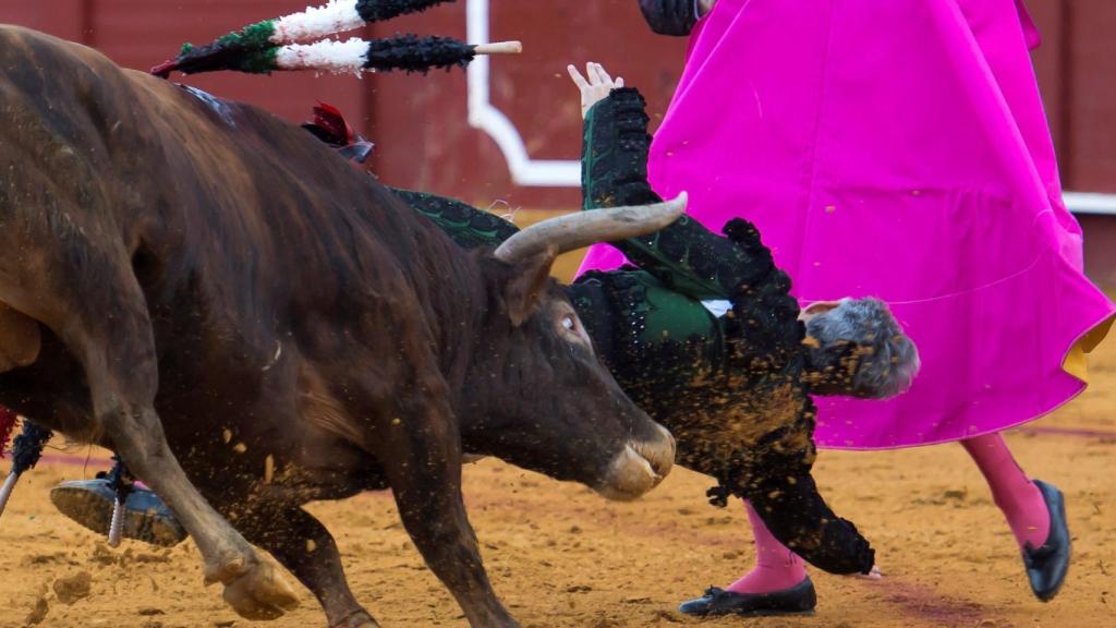 Instante en el que el toro prende al banderillero del suelo